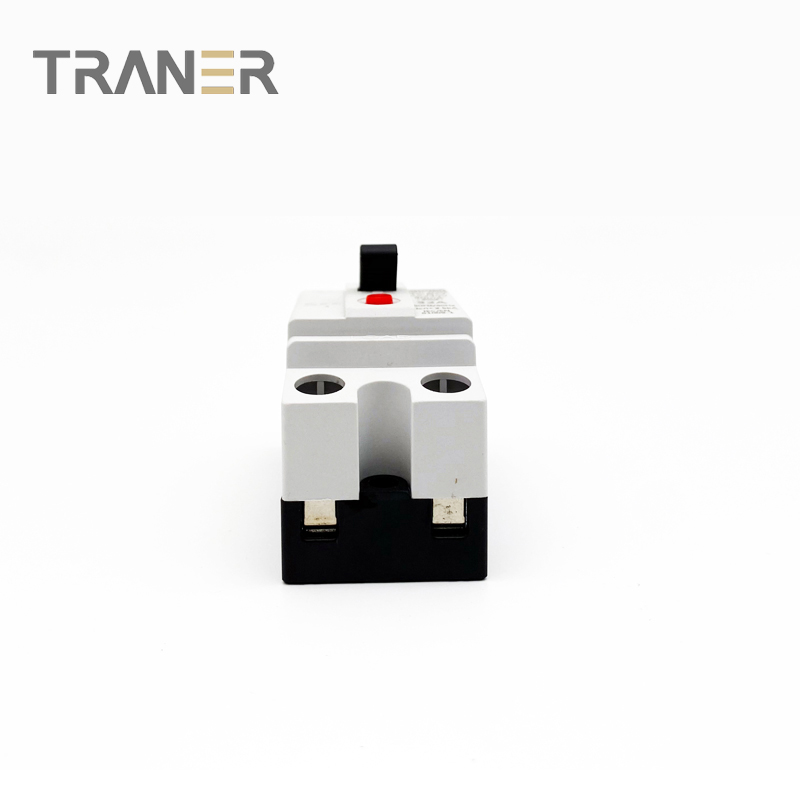 TNB1L-32G(d) RCBO